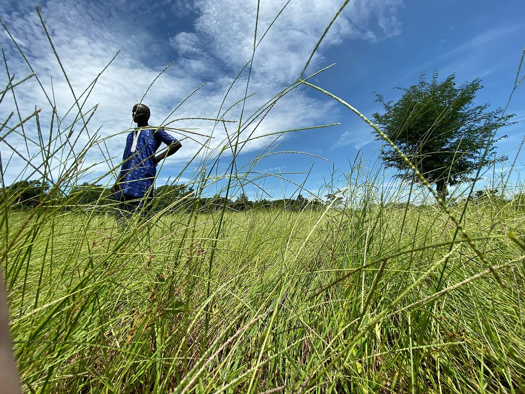 image_2024_03_20T13_12_10_966Z